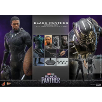 HT Black Panther (OG suit)