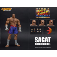 Storm SAGAT