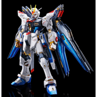 RG 突擊自由 [TITANIUM FINISH]港版