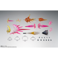 R魂 特效配件套裝ver. A.N.I.M.E.