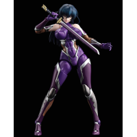 井河阿莎姬 Book Set