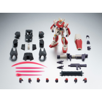 R魂 NT-1 Prototype ver. A.N.I.M.E. 港版