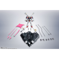 R魂 海盜X1/X１改 EVOLUTION-SPEC