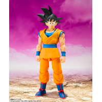 SHF 孫悟空 -DAIMA-